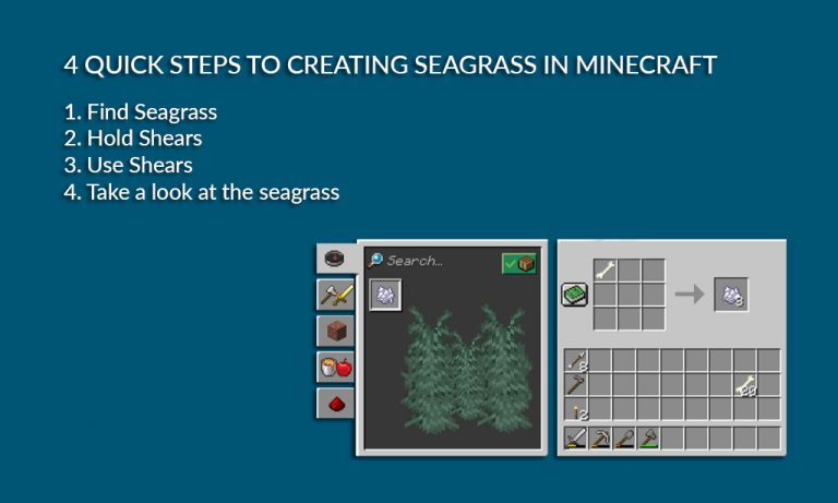 How to get seagrass in Minecraft? How to find turtles in Minecraft?